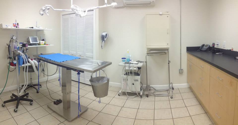 Our Surgery Sweet